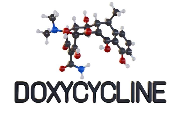 doxycycline stay in the body